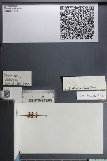 Media type: image;   Entomology 579761